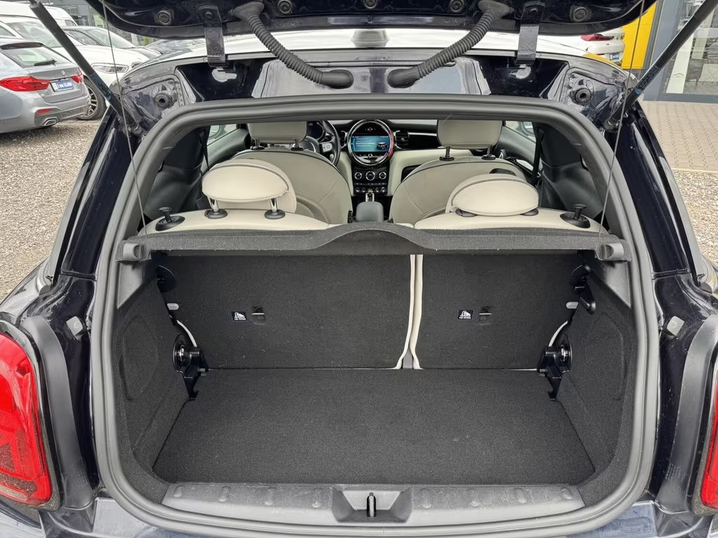 Mini Mini Electric