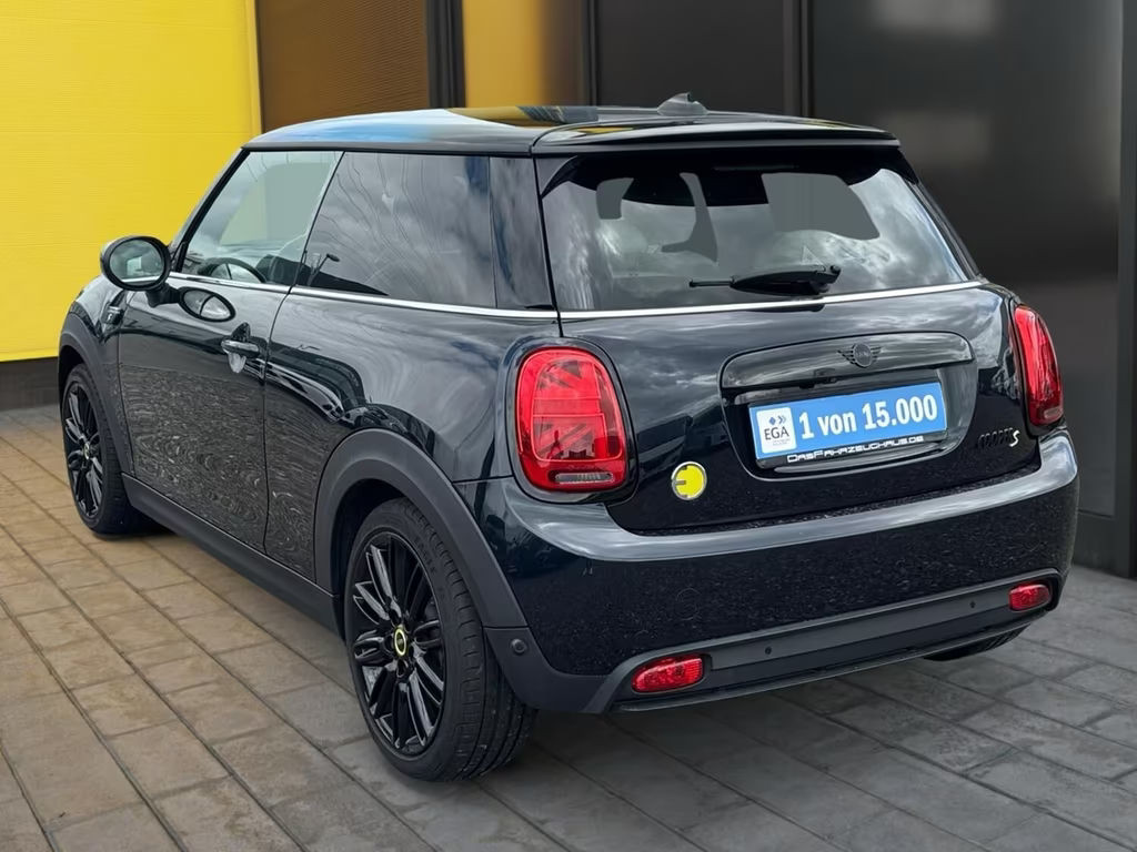 Mini Mini Electric
