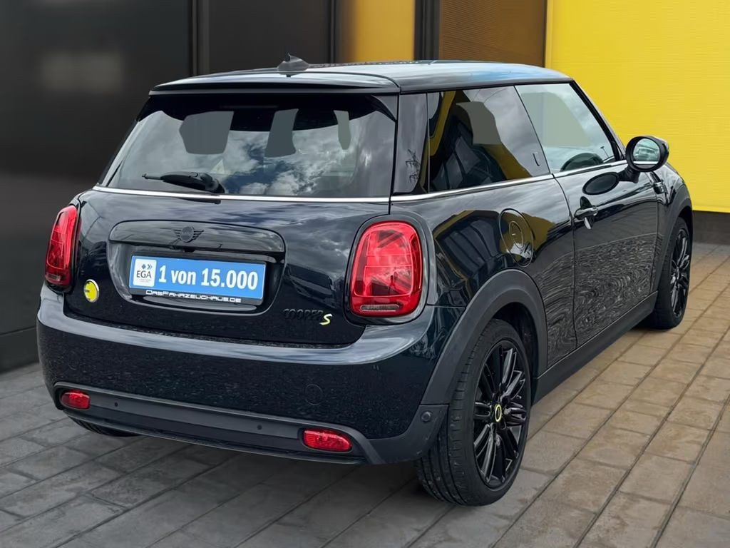 Mini Mini Electric