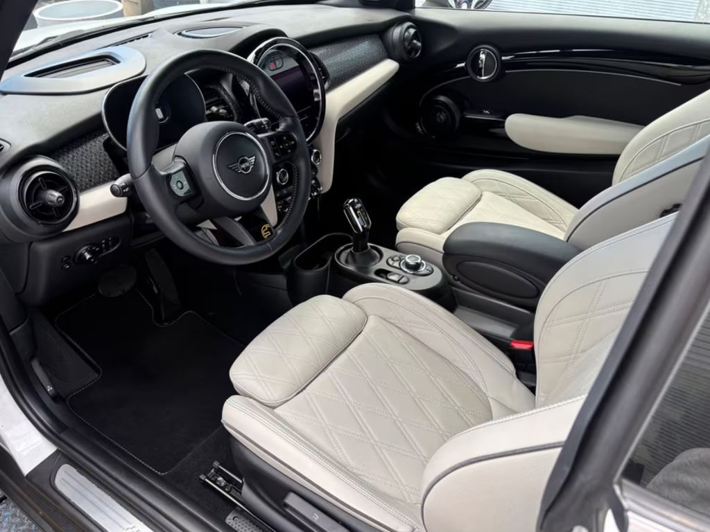 Mini Mini Electric
