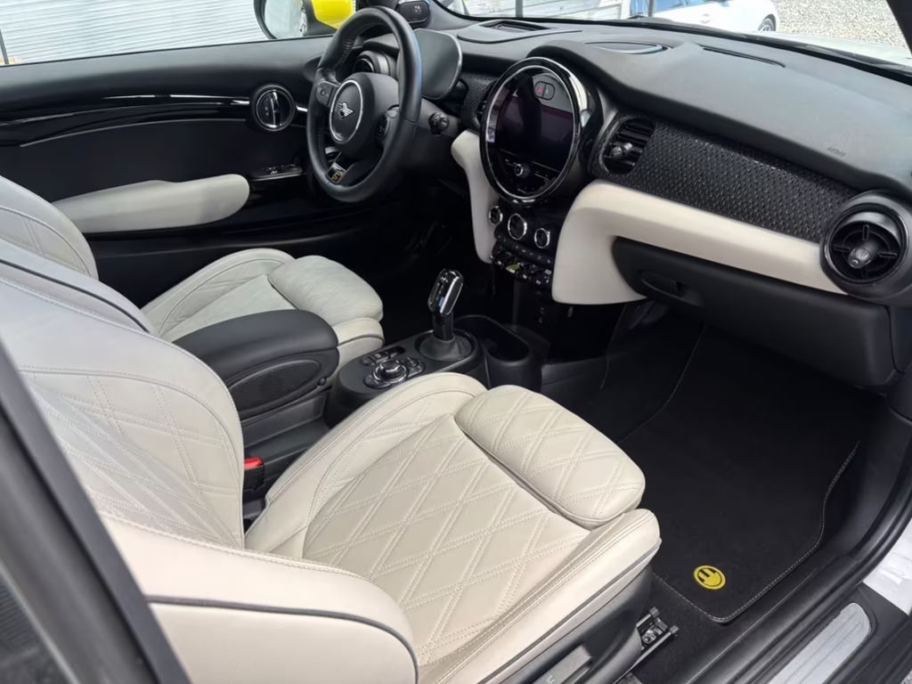 Mini Mini Electric