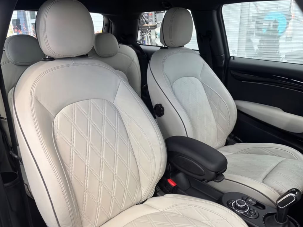 Mini Mini Electric
