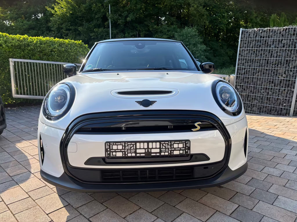 Mini Mini Electric