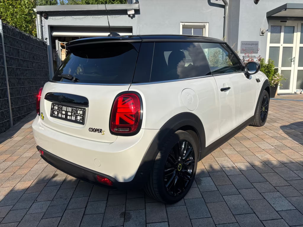 Mini Mini Electric