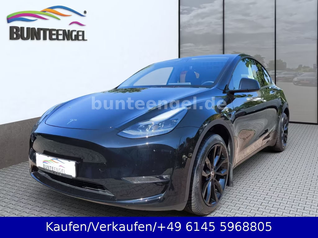 Tesla Model Y Long Range Dual Motor AWD