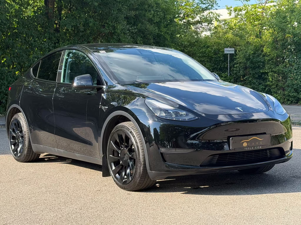 Tesla Model Y Long Range Dual Motor AWD