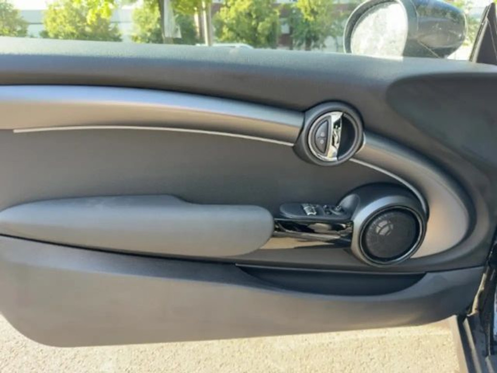 Mini Mini Electric