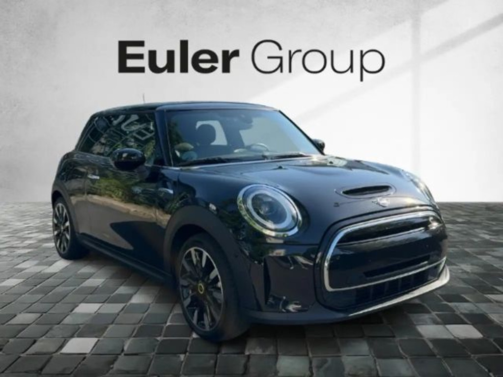 Mini Mini Electric