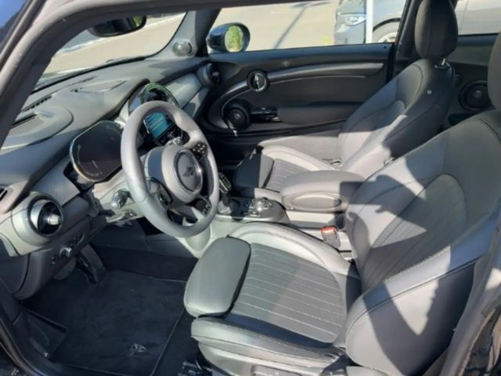 Mini Mini Electric