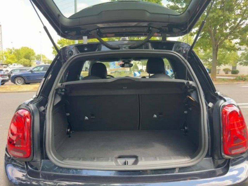 Mini Mini Electric