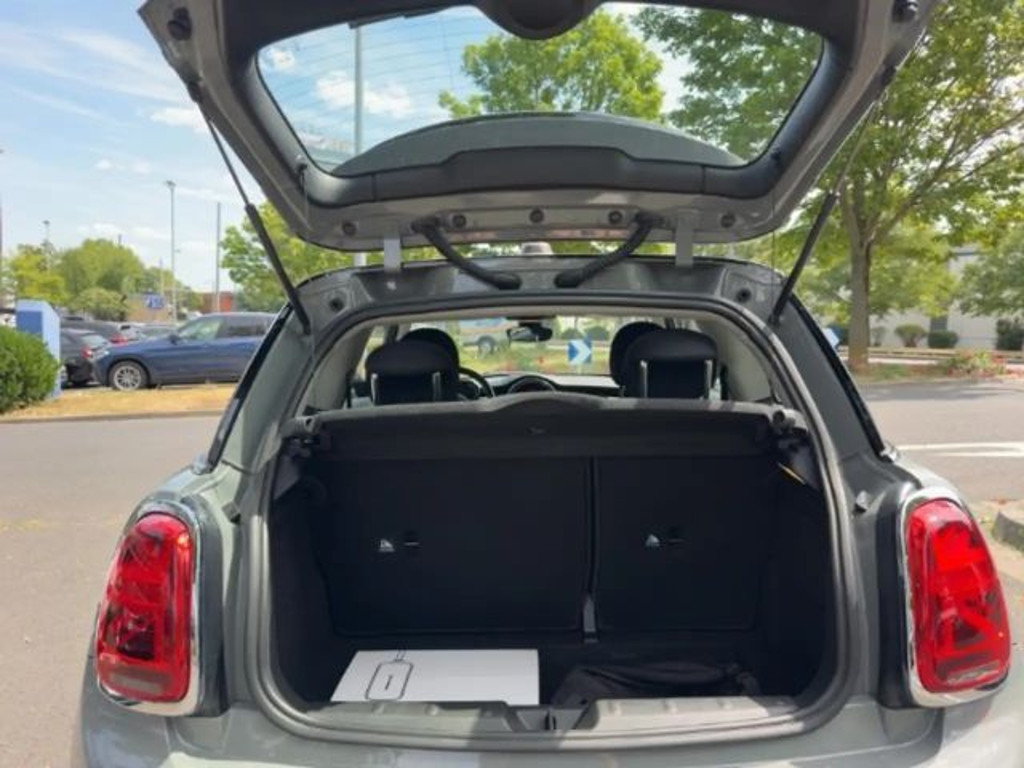 Mini Mini Electric
