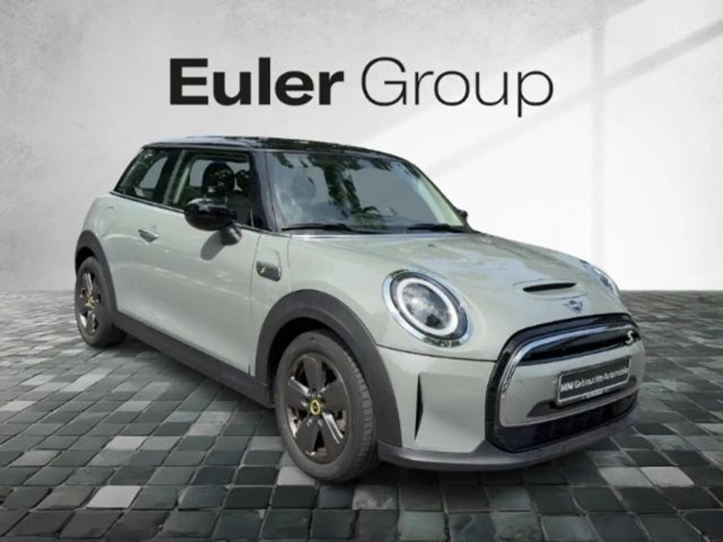 Mini Mini Electric