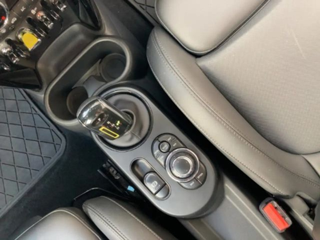 Mini Mini Electric