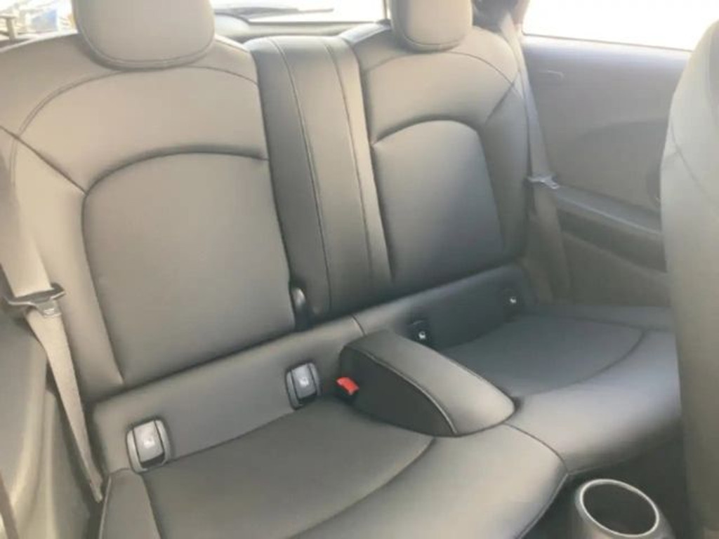 Mini Mini Electric