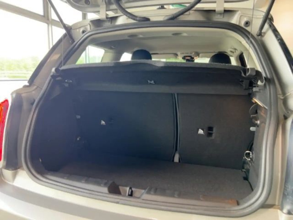 Mini Mini Electric