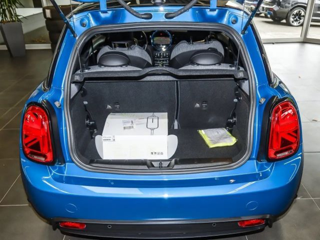 Mini Mini Electric