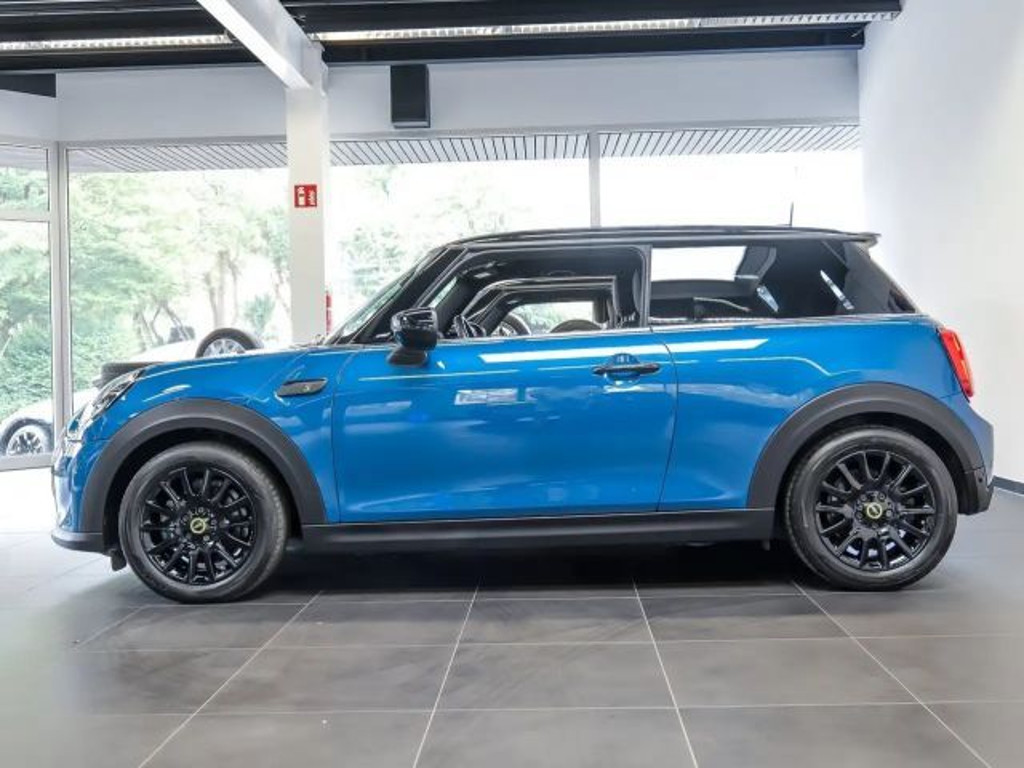 Mini Mini Electric