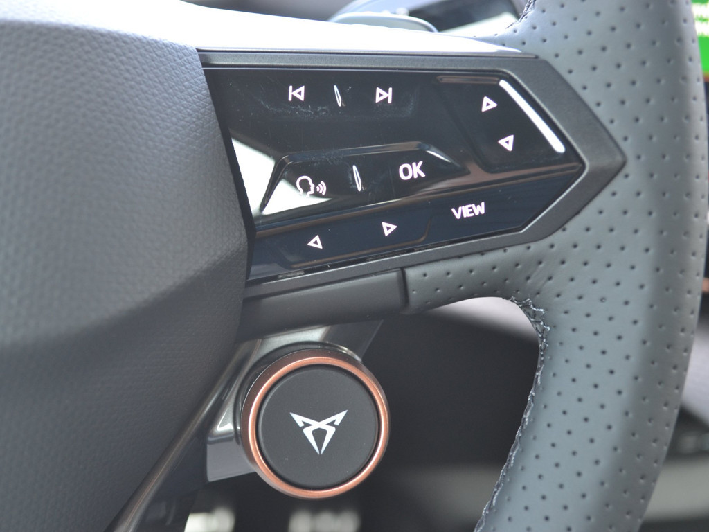 Cupra Tavascan