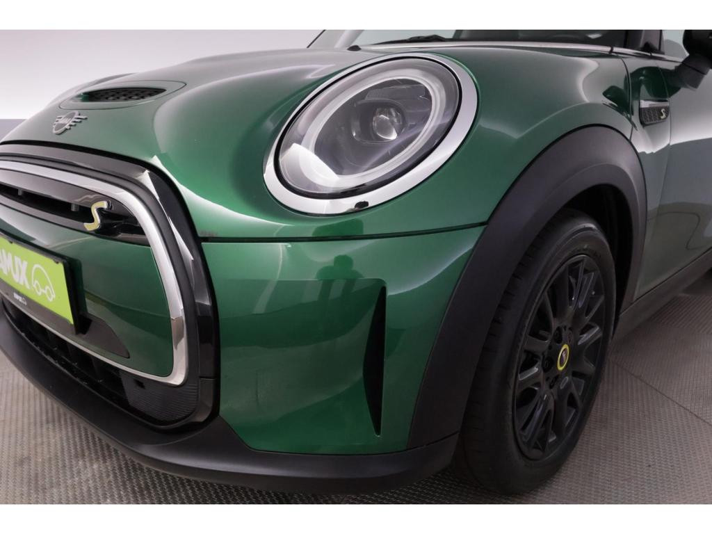 Mini Mini Electric