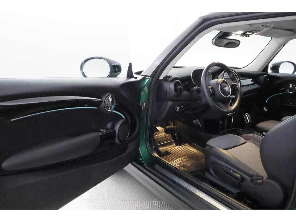 Mini Mini Electric