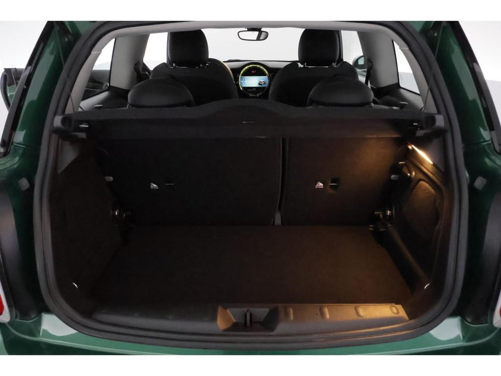 Mini Mini Electric
