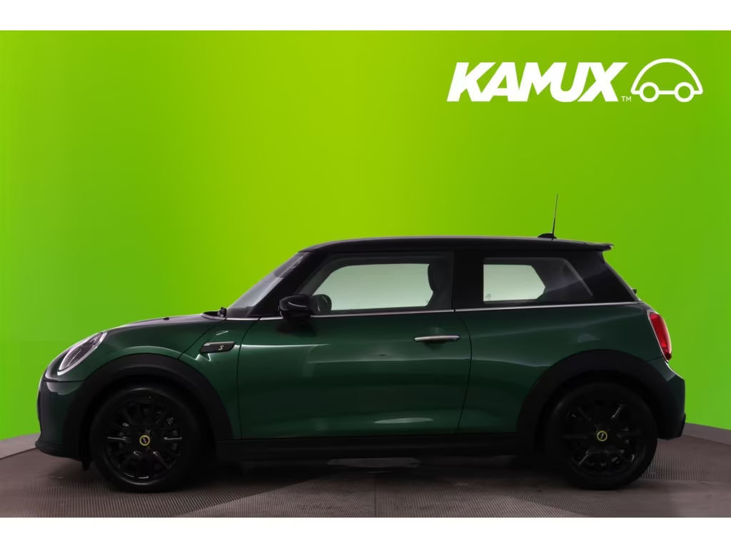 Mini Mini Electric