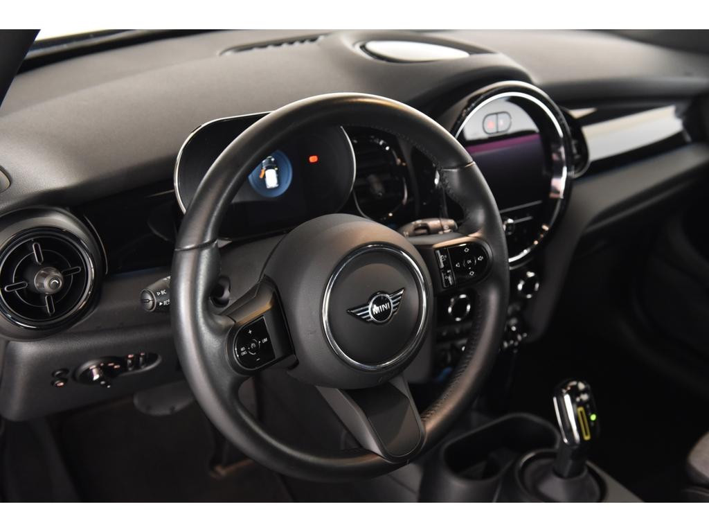 Mini Mini Electric