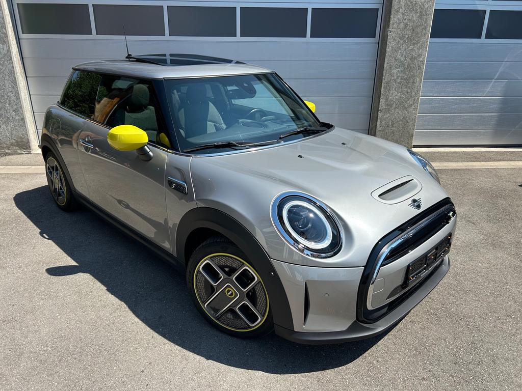 Mini Mini Electric