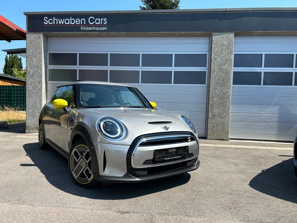 Mini Mini Electric
