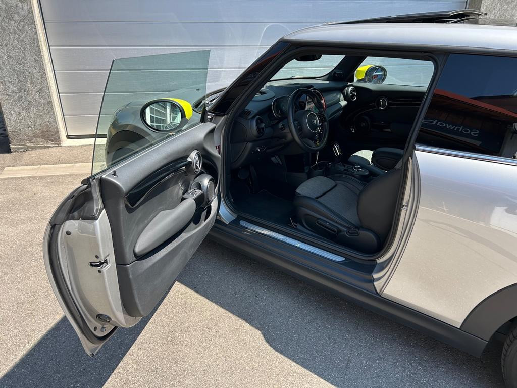 Mini Mini Electric