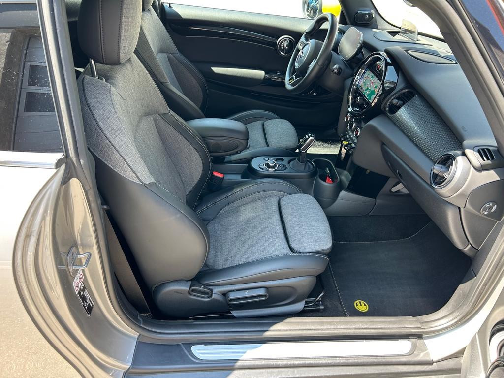 Mini Mini Electric
