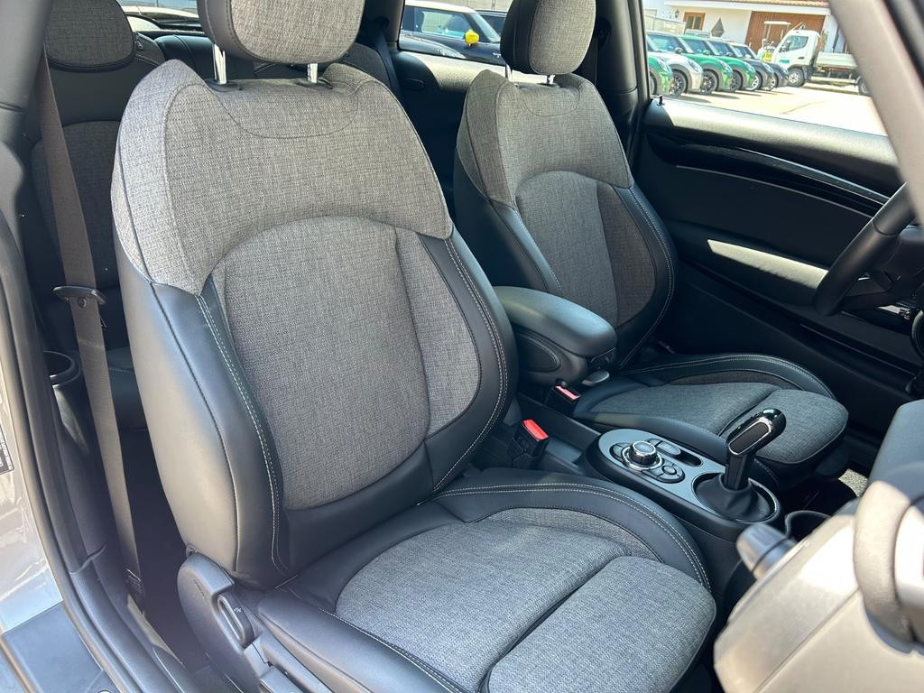 Mini Mini Electric