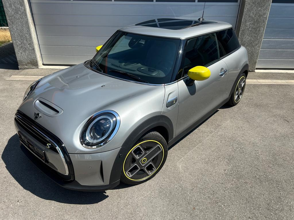 Mini Mini Electric