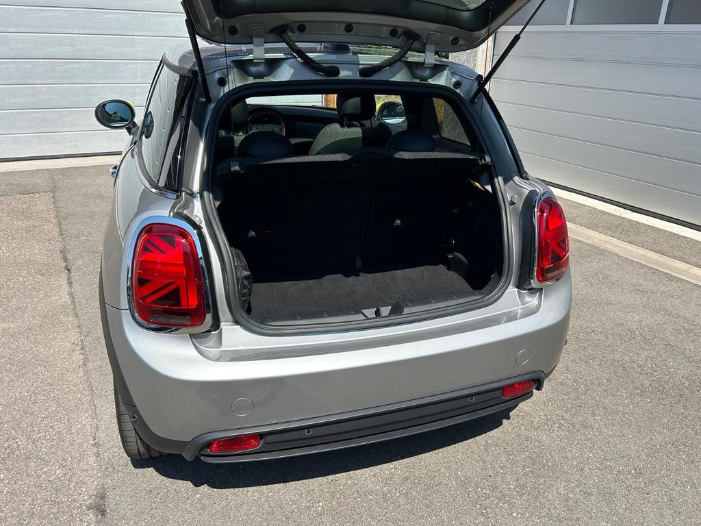 Mini Mini Electric