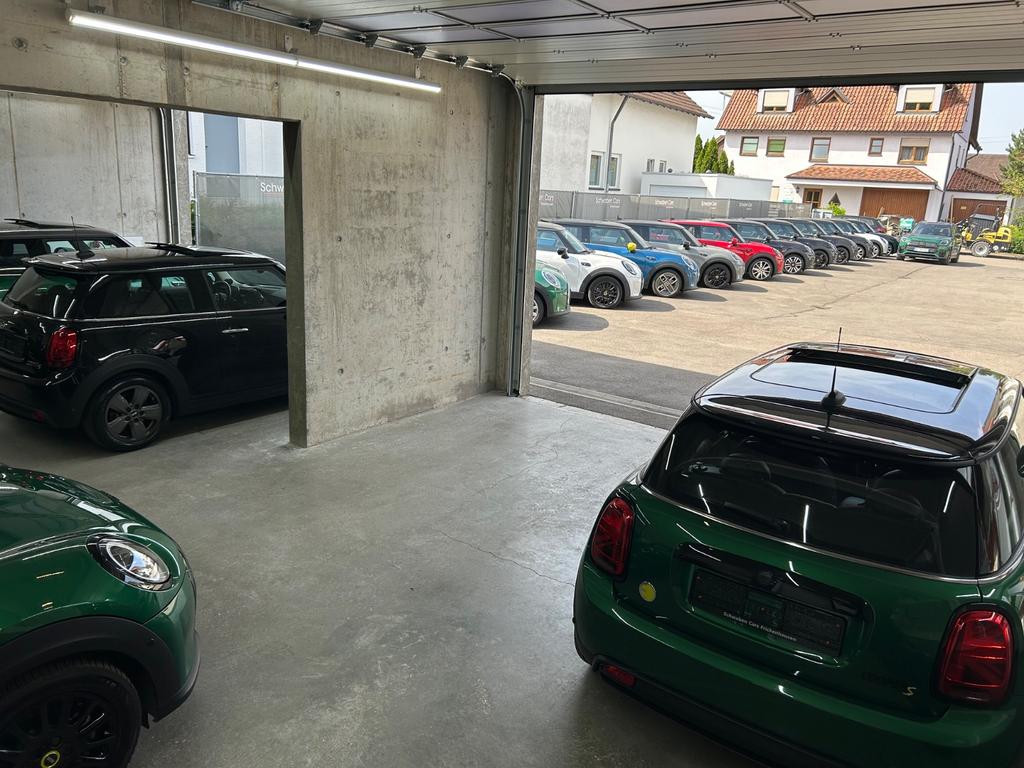 Mini Mini Electric