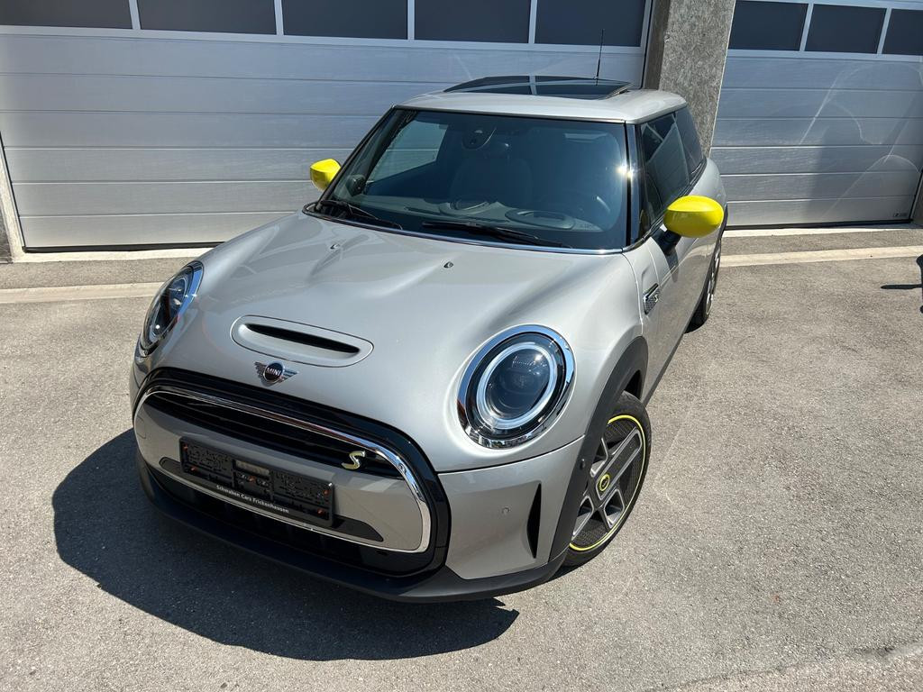 Mini Mini Electric