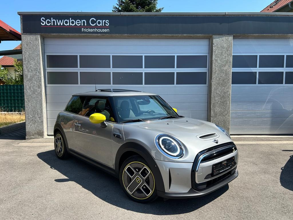 Mini Mini Electric