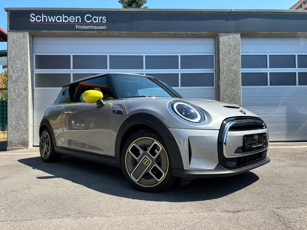 Mini Mini Electric