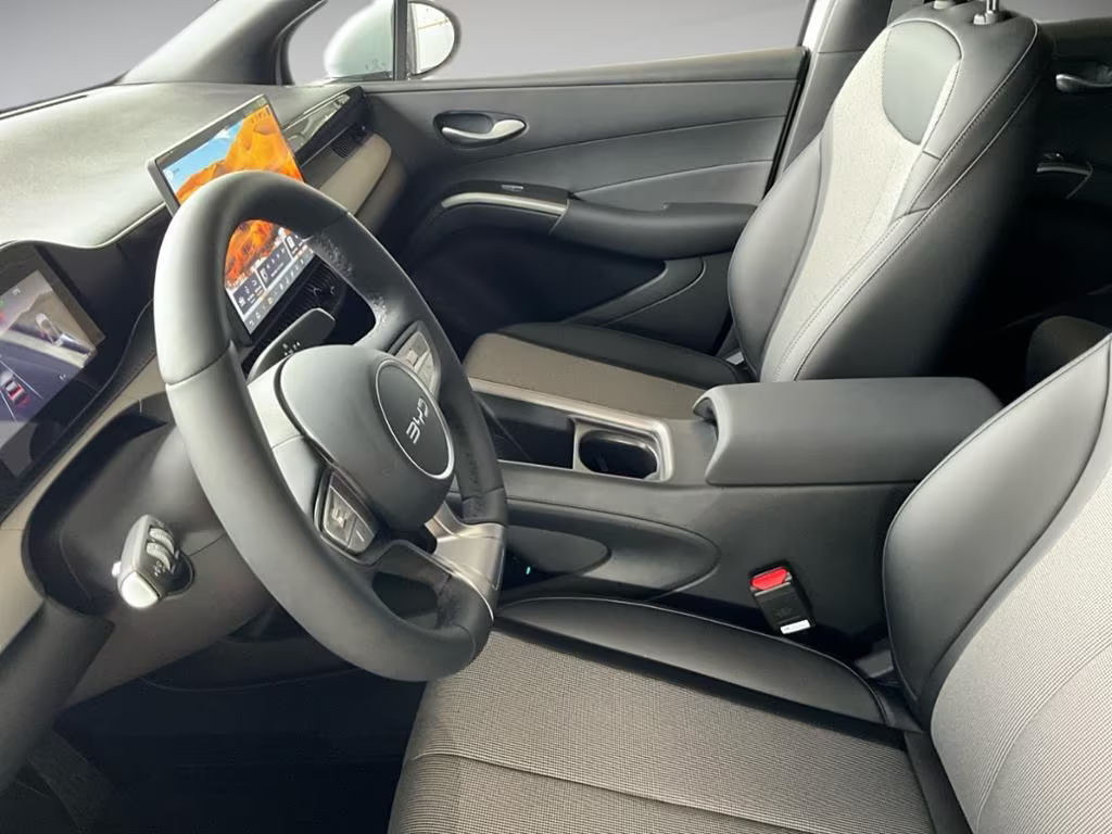 BYD Dolphin