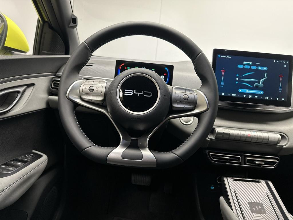 BYD Dolphin Surf
