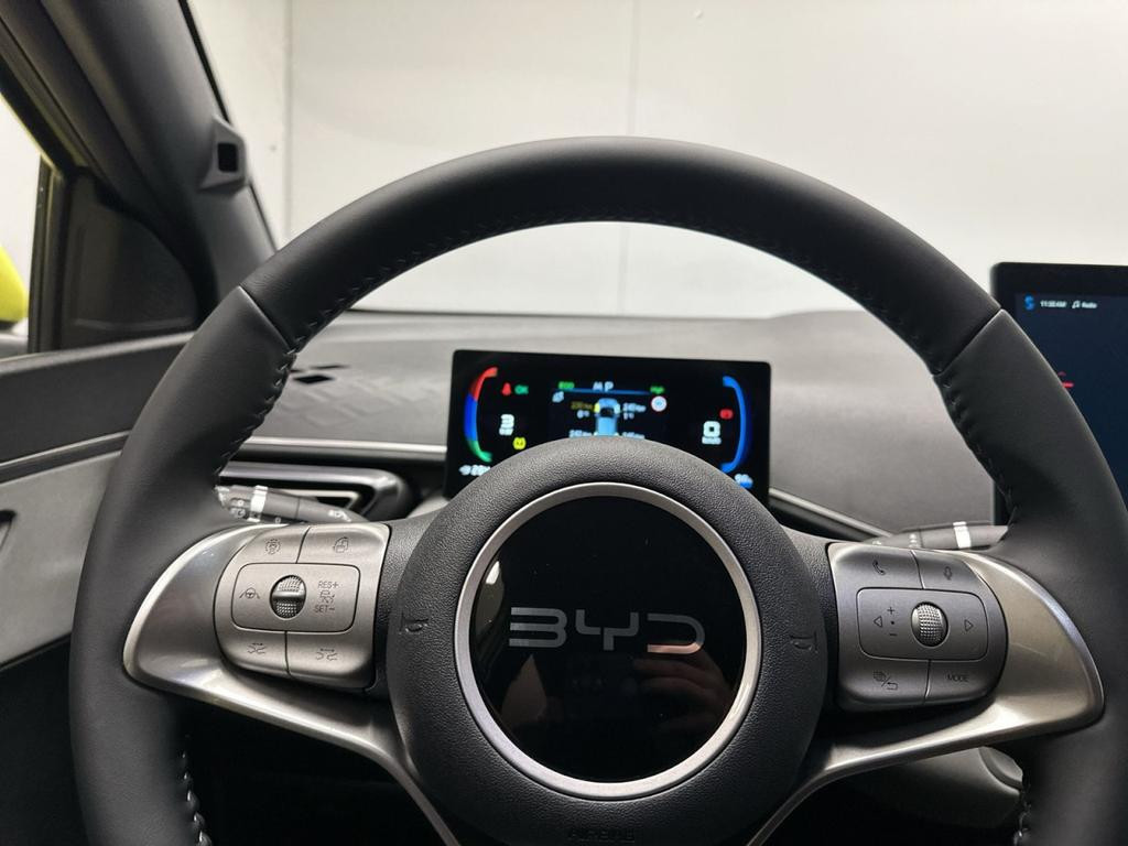 BYD Dolphin Surf