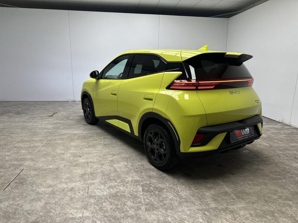 BYD Dolphin Surf