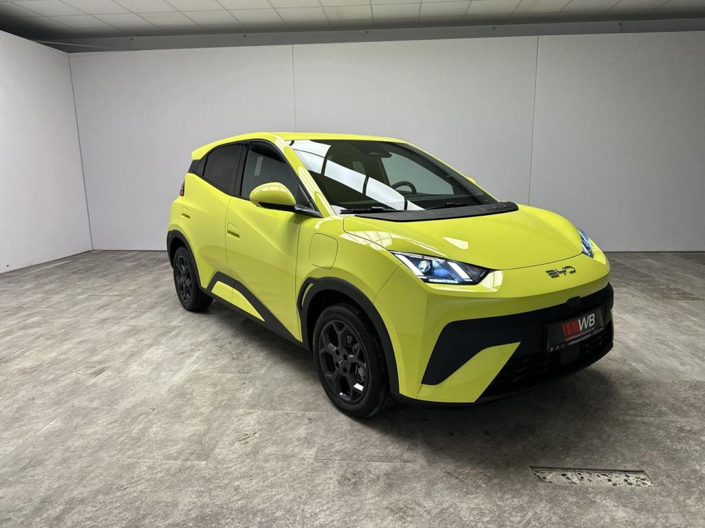 BYD Dolphin Surf