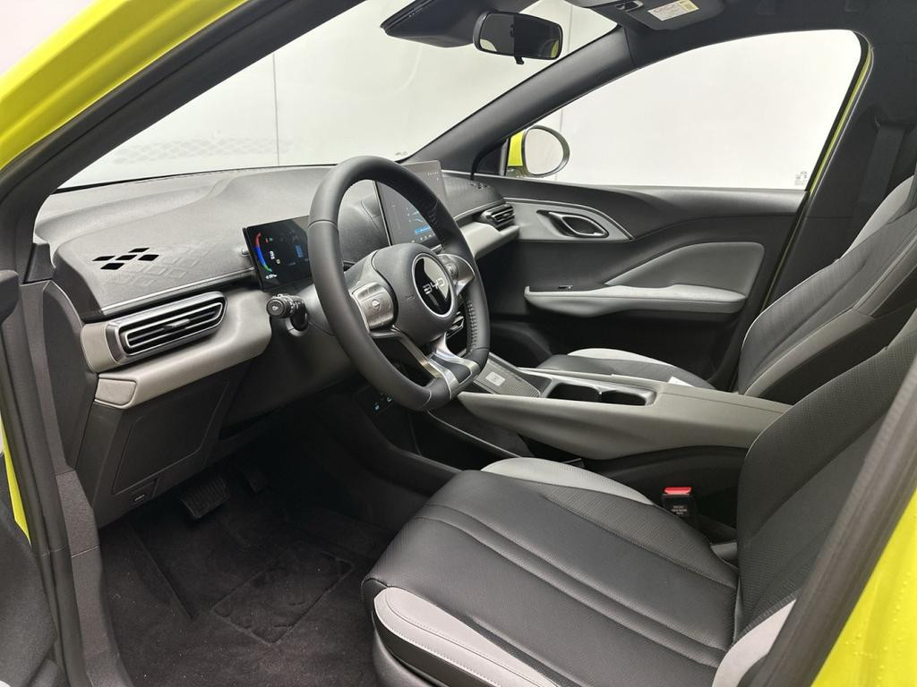 BYD Dolphin Surf