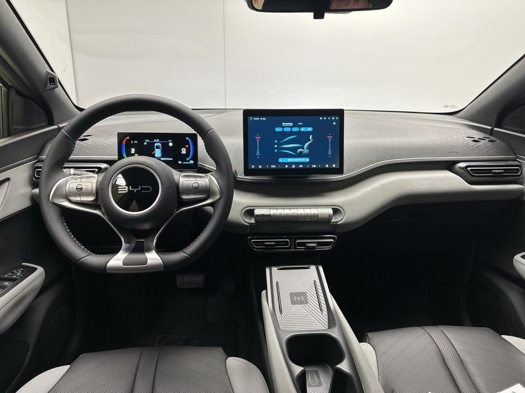 BYD Dolphin Surf