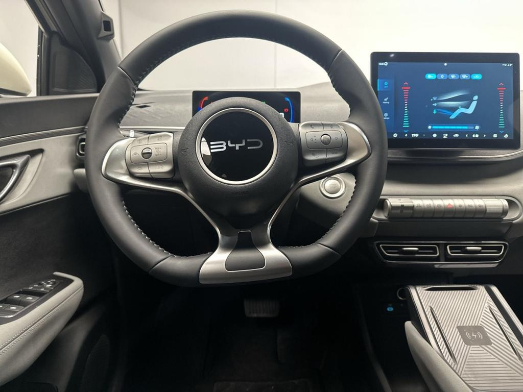 BYD Dolphin Surf