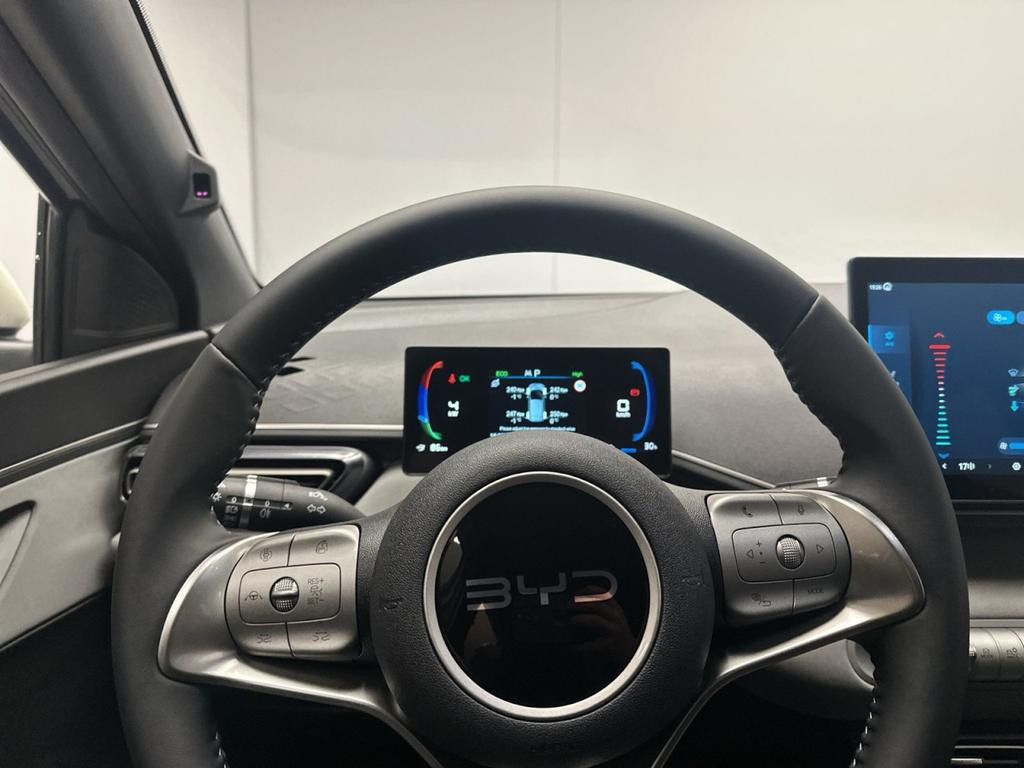 BYD Dolphin Surf