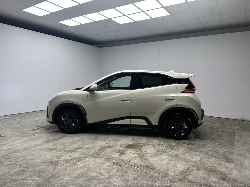 BYD Dolphin Surf