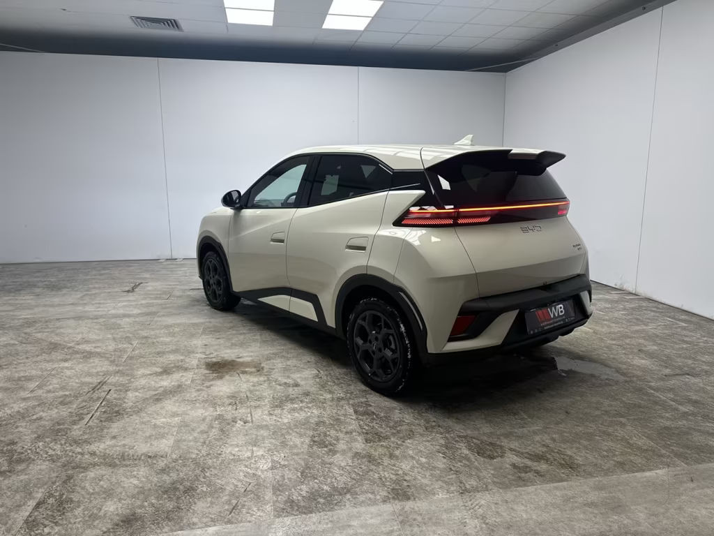 BYD Dolphin Surf