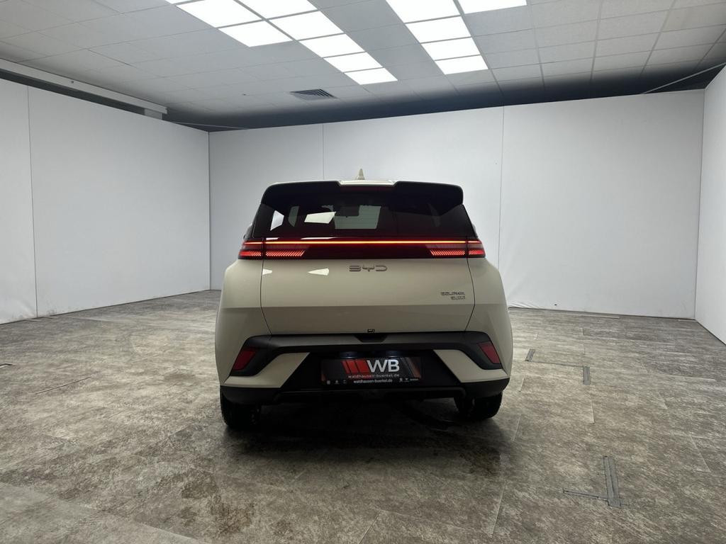 BYD Dolphin Surf